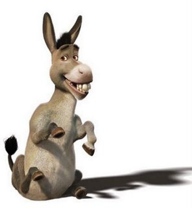 burro-shrek-#belicosa55