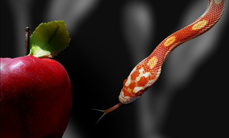 serpente